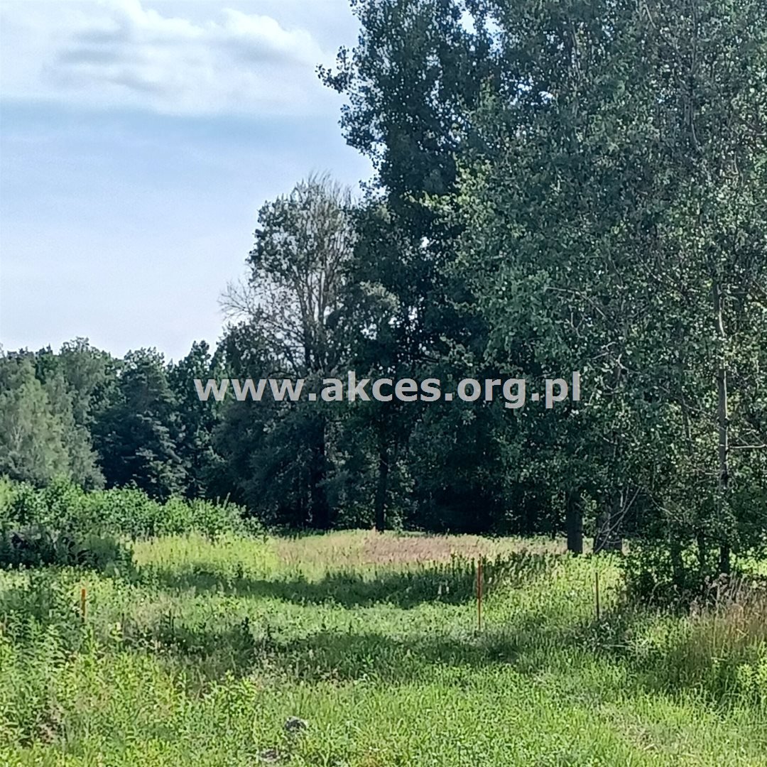 Działka budowlana na sprzedaż Chojnów  1 835m2 Foto 3