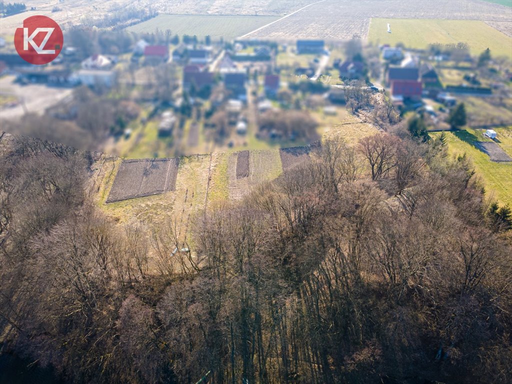 Zdjęcie 6