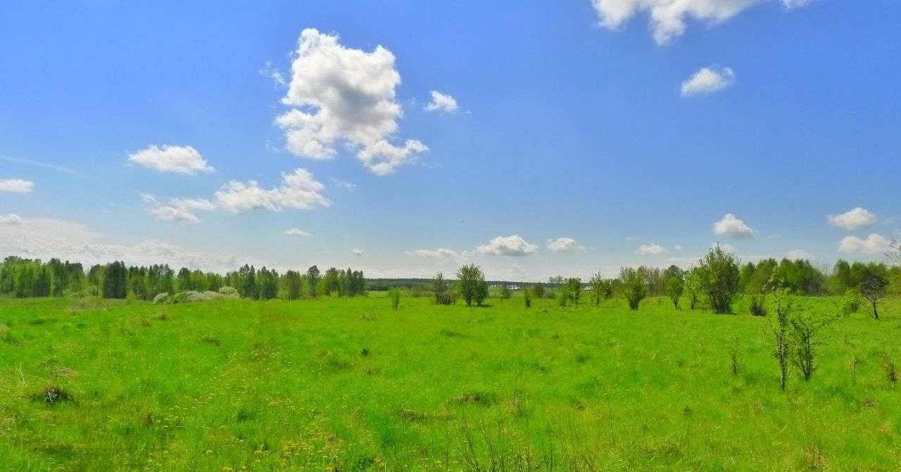 Działka rolna na sprzedaż Suwałki  36 000m2 Foto 5