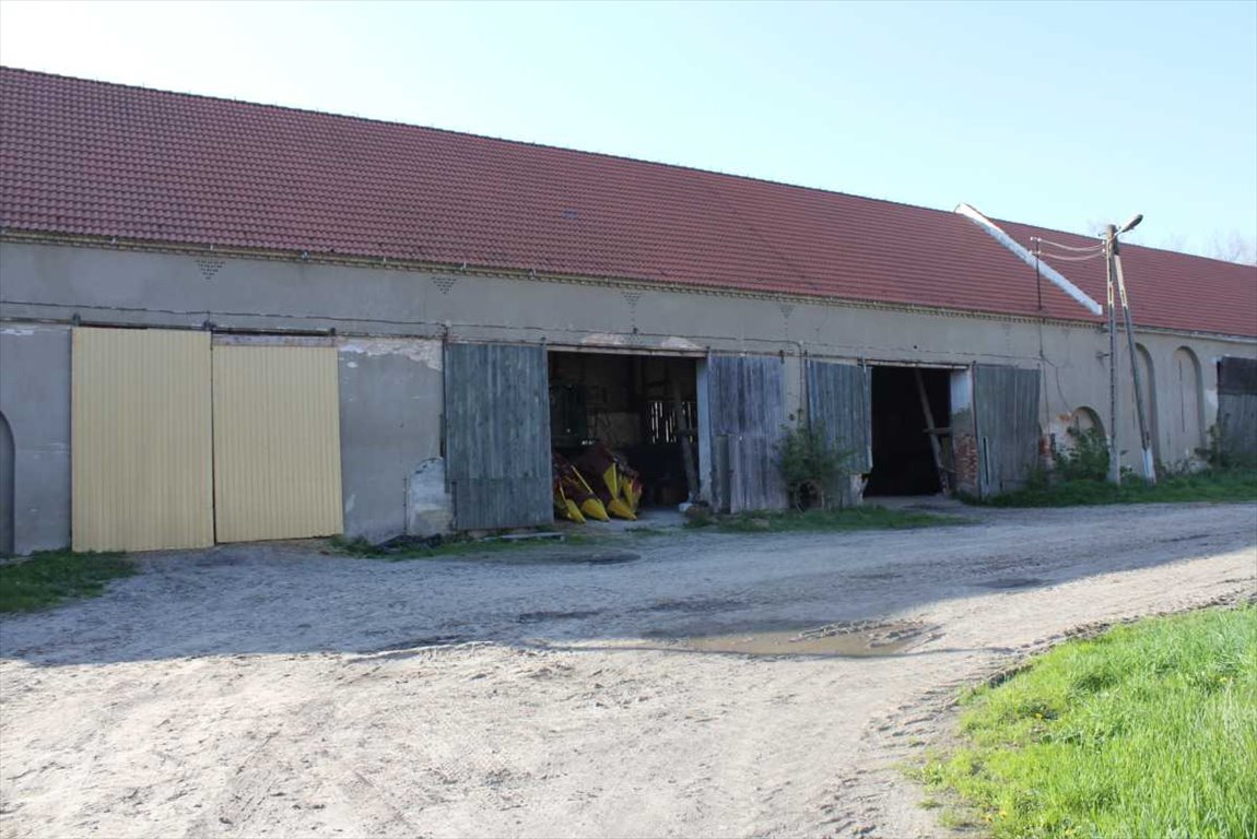 Lokal użytkowy na sprzedaż Szczepanów  2 000m2 Foto 3