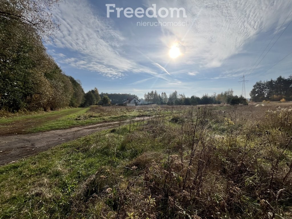 Działka budowlana na sprzedaż Zamek Bierzgłowski, Sosnowa  2 000m2 Foto 2