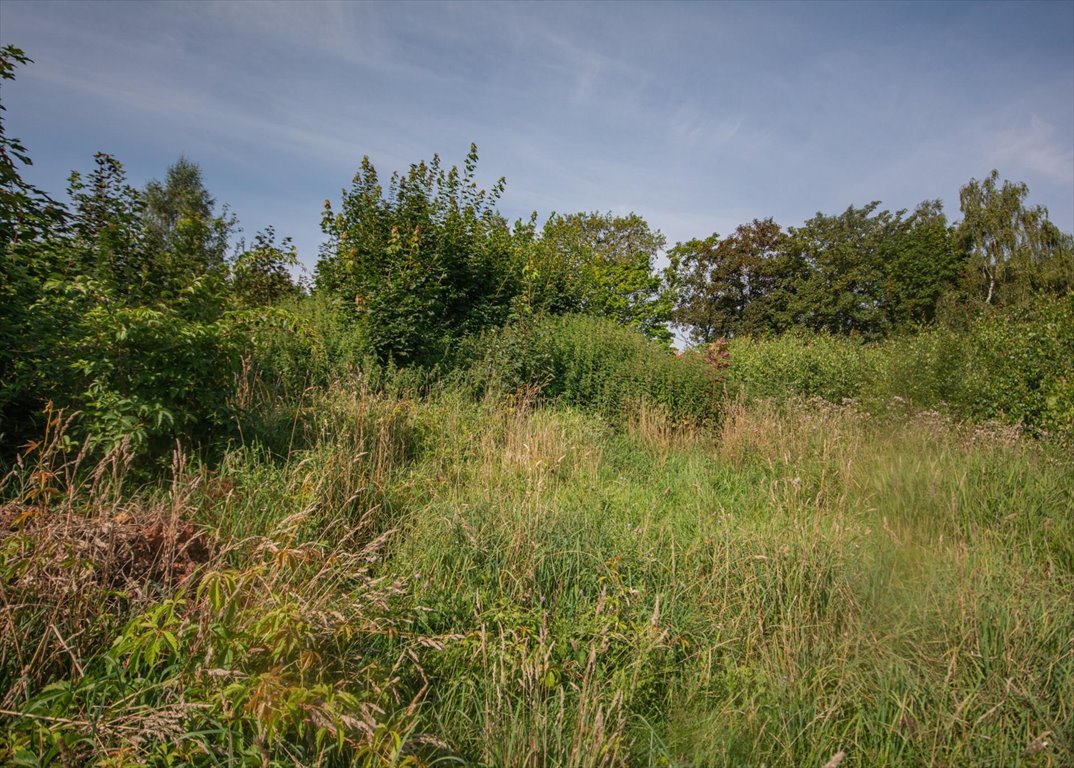 Działka budowlana na sprzedaż Kąpino  1 591m2 Foto 5