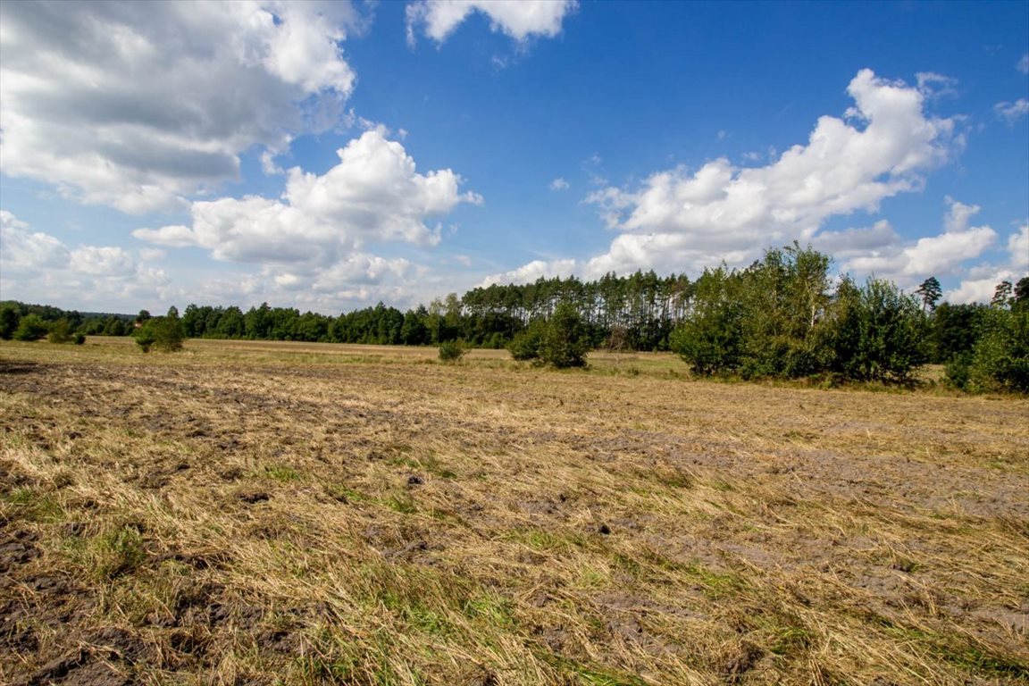 Działka budowlana na sprzedaż Kamińsko  800m2 Foto 12
