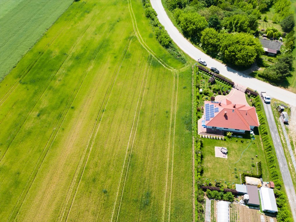 Działka budowlana na sprzedaż Opatów, Ćmielowska  1 323m2 Foto 6