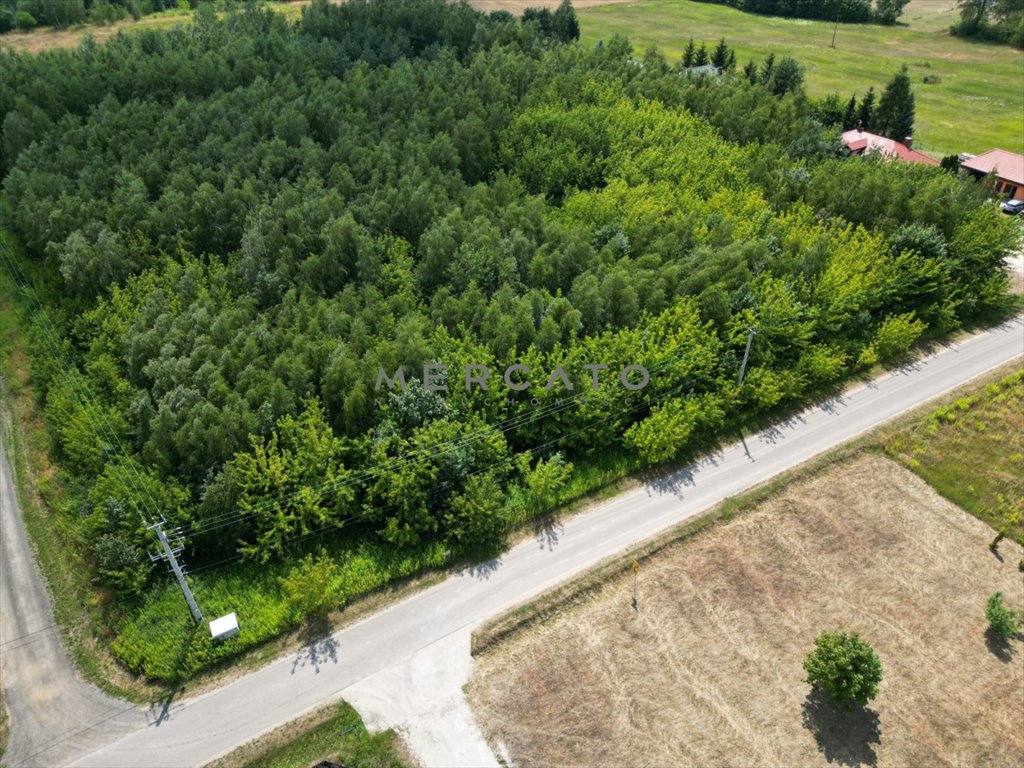 Działka budowlana na sprzedaż Załuski  4 756m2 Foto 3