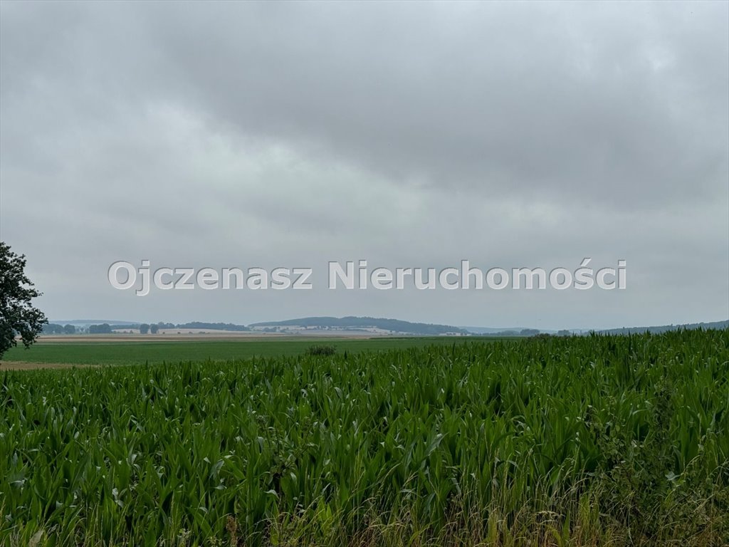 Działka budowlana 3017 m² w Niemczu – inwestycja lub dom Niemcz  3 017m2 Foto 1
