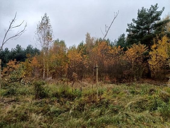 Działka budowlana, 1062m2, Borowo I, gm. Koluszki, woj. łódzkie Borowa  1 062m2 Foto 1