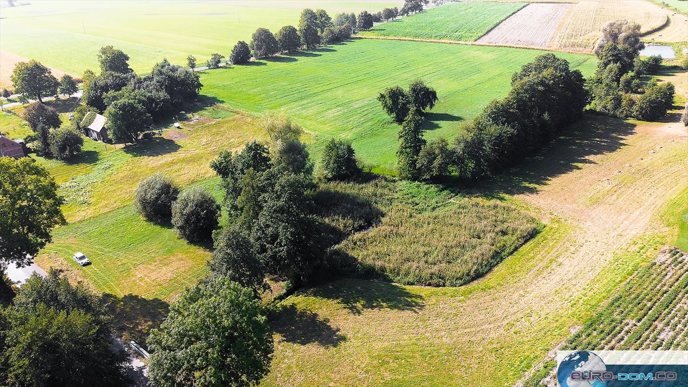 Działka budowlana na sprzedaż Borucin  15 658m2 Foto 3