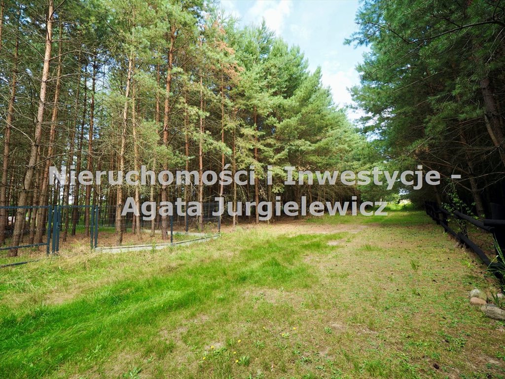 Działka budowlana 1500 m² w lesie, MN, prąd, ogrodzona Ostrowina  1 500m2 Foto 1