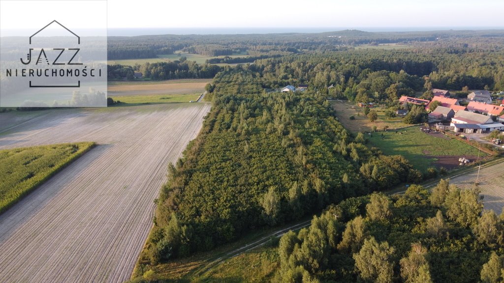 Działka siedliskowa na sprzedaż Ulinia  25 483m2 Foto 1