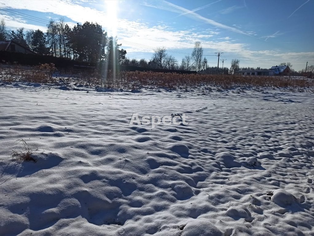 Działka budowlana na sprzedaż Wodzisław Śląski  8 600m2 Foto 1