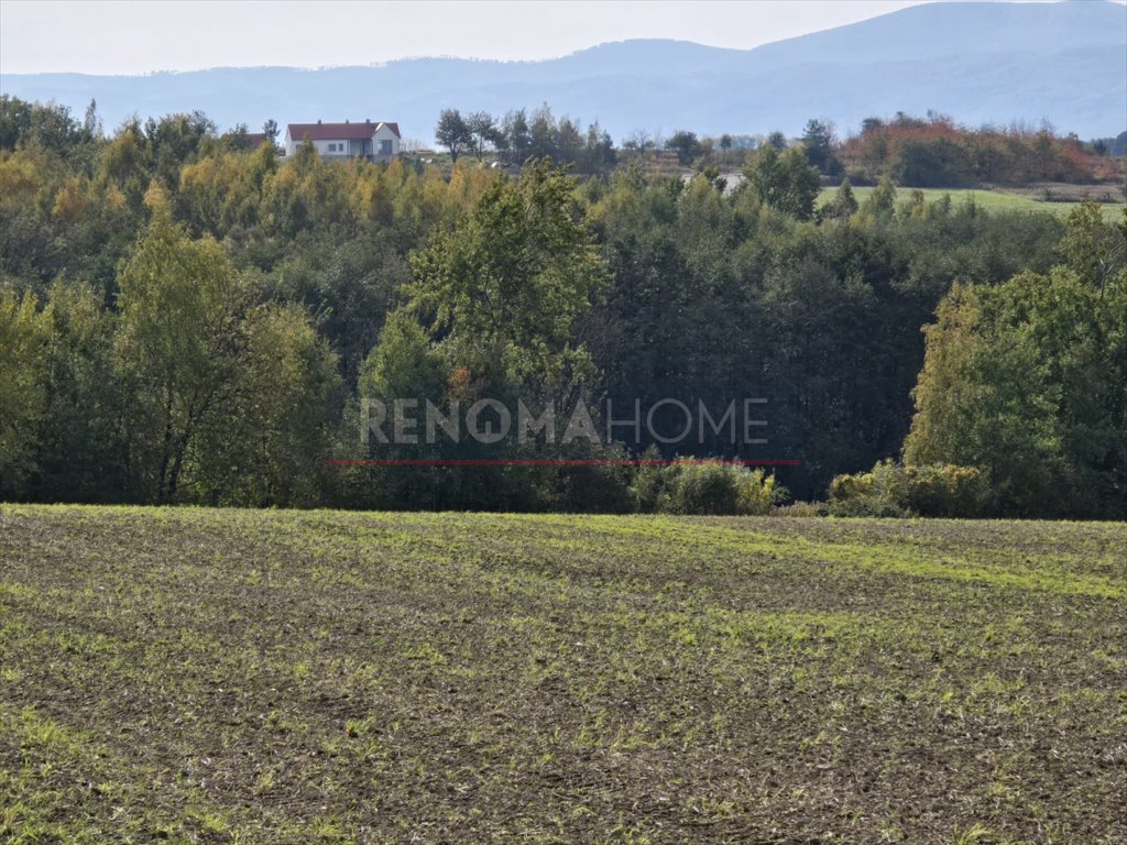 Działka gospodarstwo rolne na sprzedaż Sobótka, Tąpadła  90 500m2 Foto 5