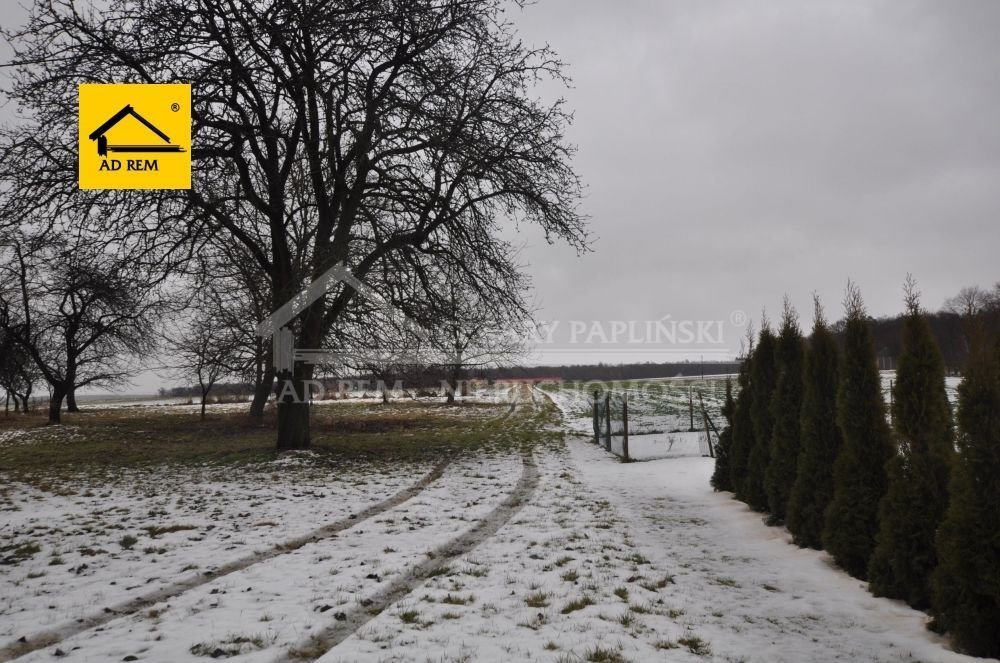 Działka siedliskowa 0,7ha z domem i budynkami w Kiełczewicach Kiełczewice Górne, Kiełczewice  7 000m2 Foto 1