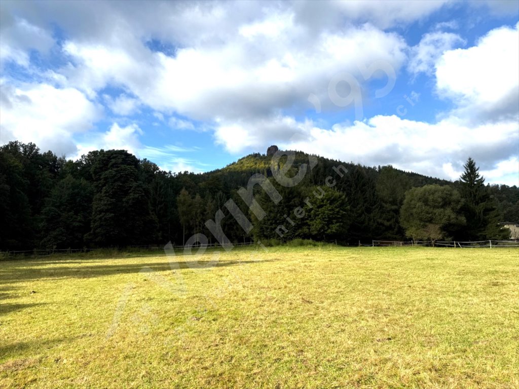 Działka budowlana na sprzedaż Janowice Wielkie  2 440m2 Foto 1