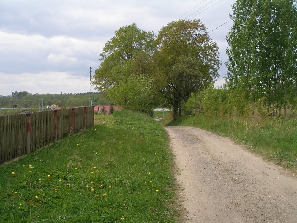 Działka budowlana na sprzedaż Kikorze  3 009m2 Foto 3