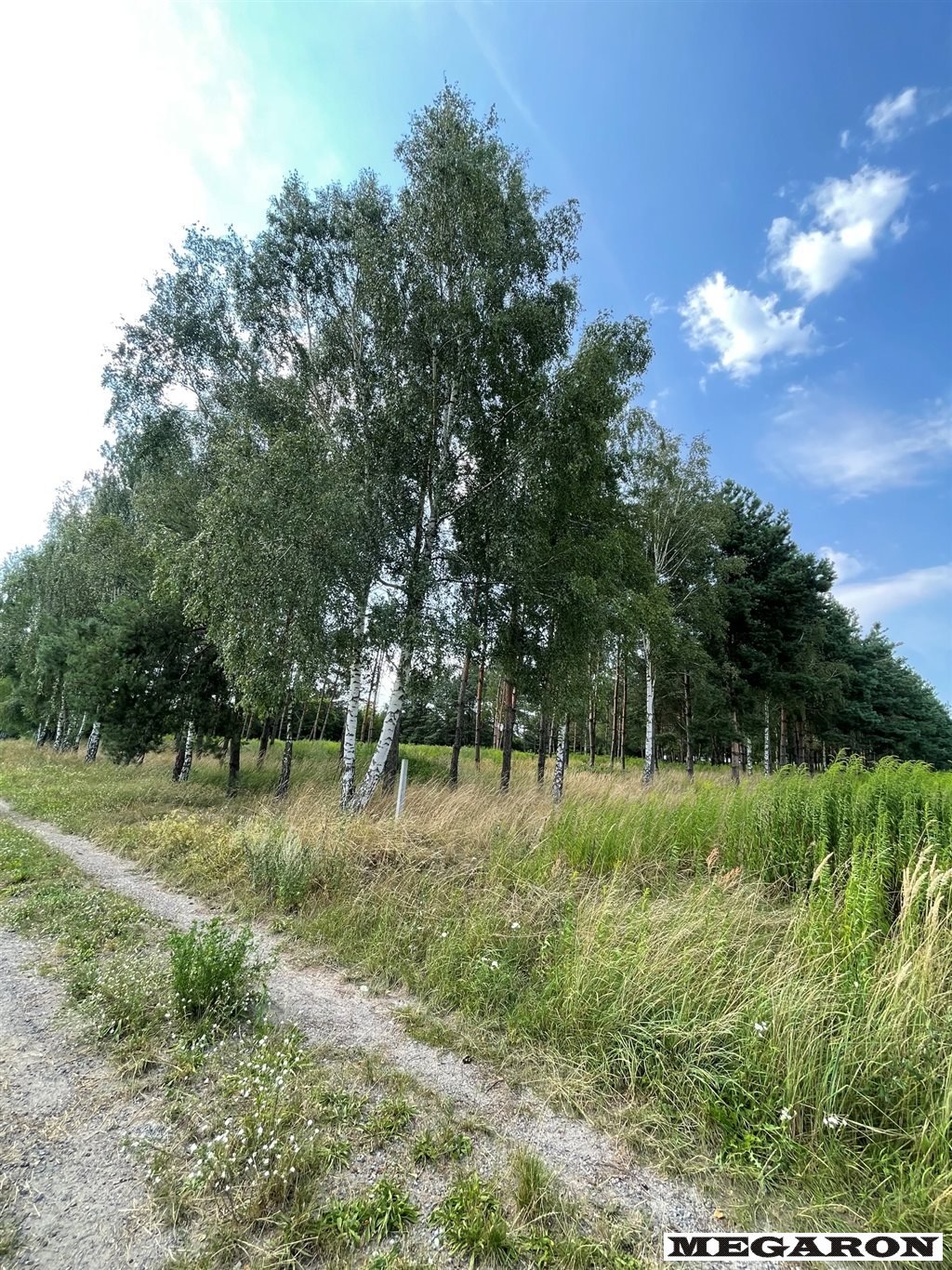 Polecam działkę 924 m² w Wancerzowie z szerokim frontem 25 m Wancerzów  924m2 Foto 1