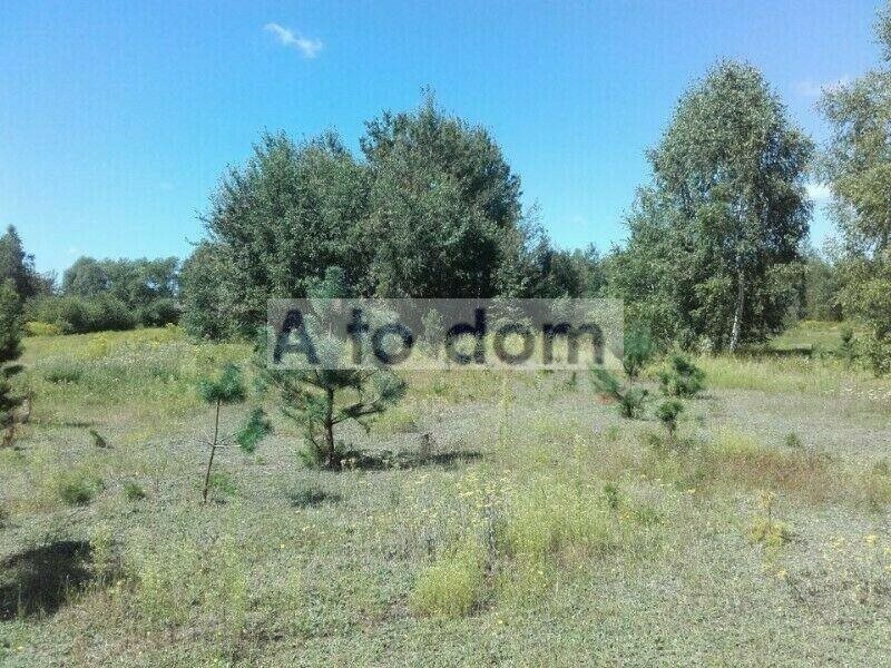 Działka budowlana 2500 m² w Kołakowie, las, media blisko Kołaków  2 500m2 Foto 1