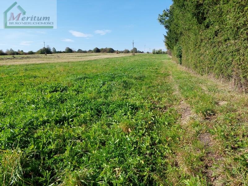 Działka budowlana na sprzedaż Zręcin  1 247m2 Foto 2