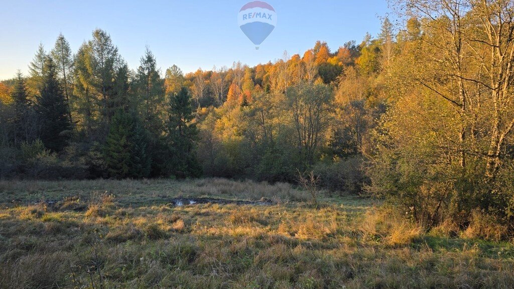 Działka rolna na sprzedaż Szczawnica  2 578m2 Foto 6