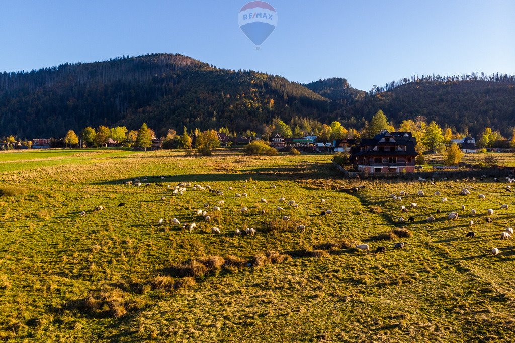 Działka rolna na sprzedaż Kościelisko  2 957m2 Foto 18