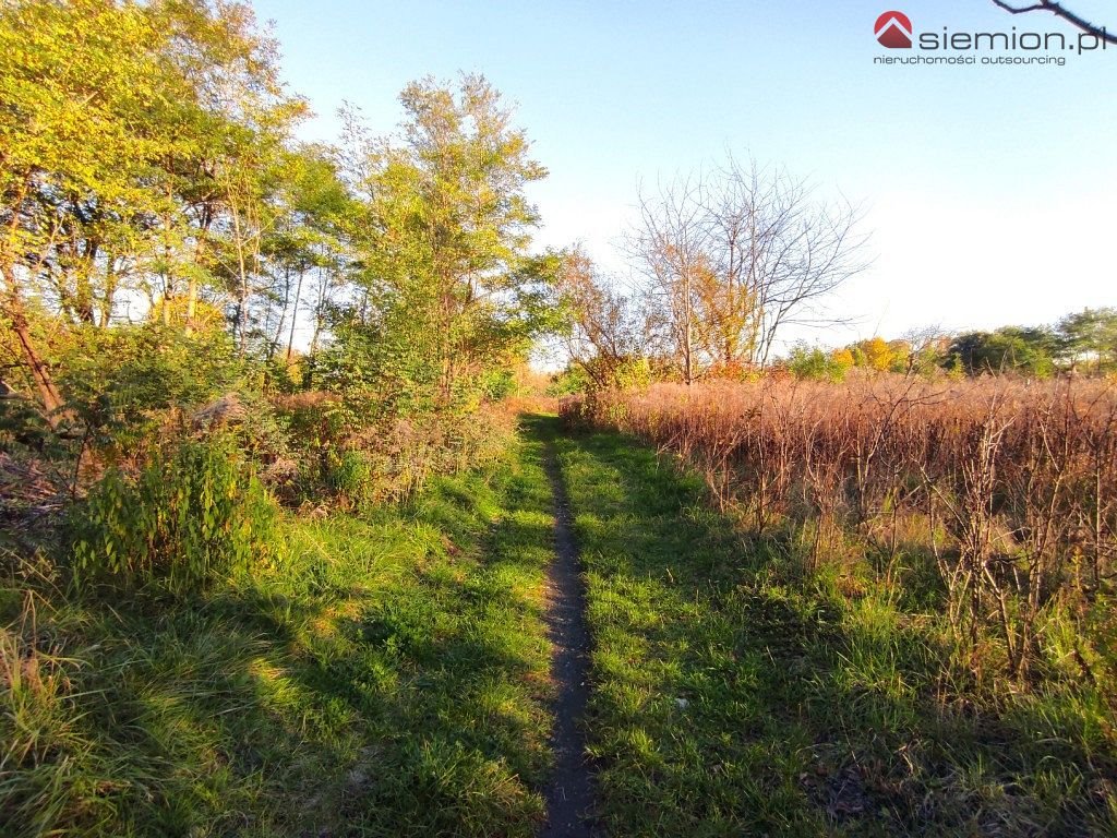 Działka inna na sprzedaż Wojkowice  1 191m2 Foto 4