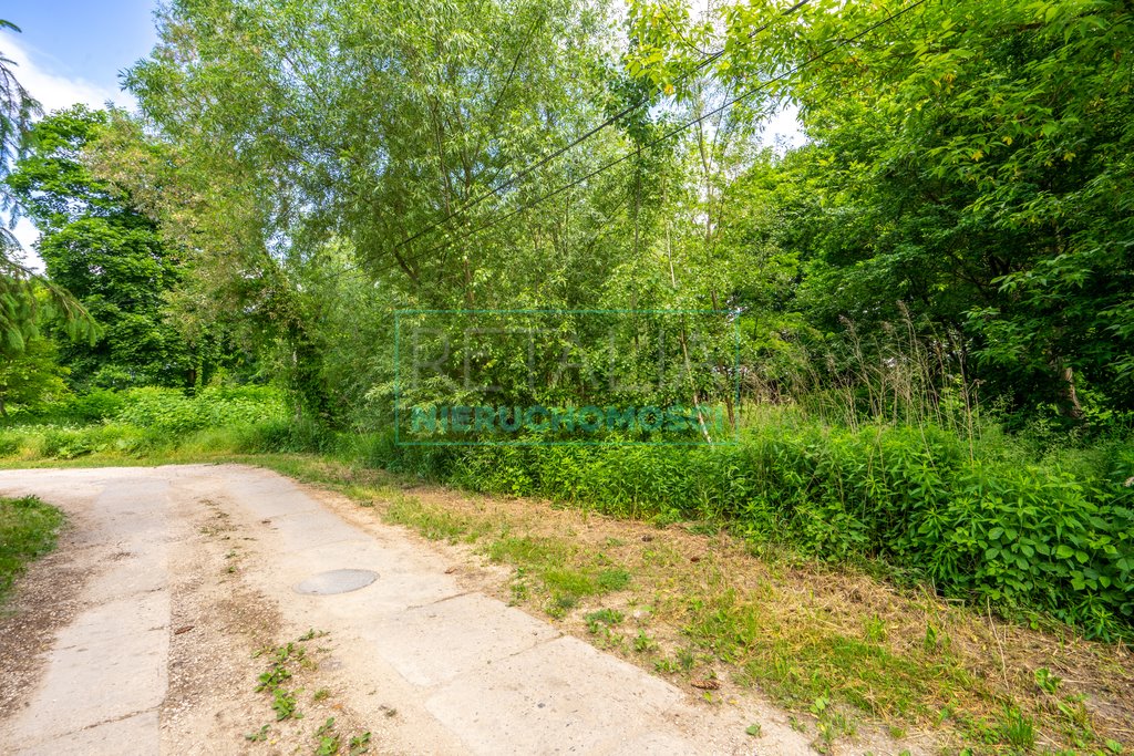 Działka budowlana na sprzedaż Grodzisk Mazowiecki  5 500m2 Foto 3