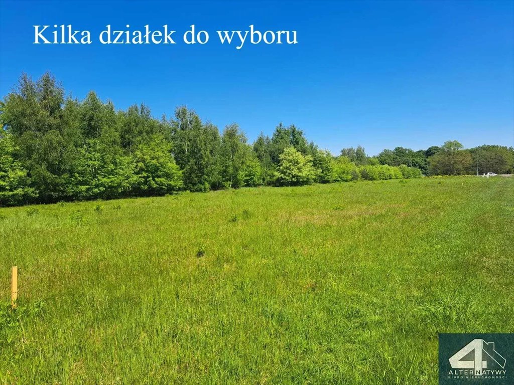 Działka inna na sprzedaż Pabianice, Pabianicka  1 353m2 Foto 1