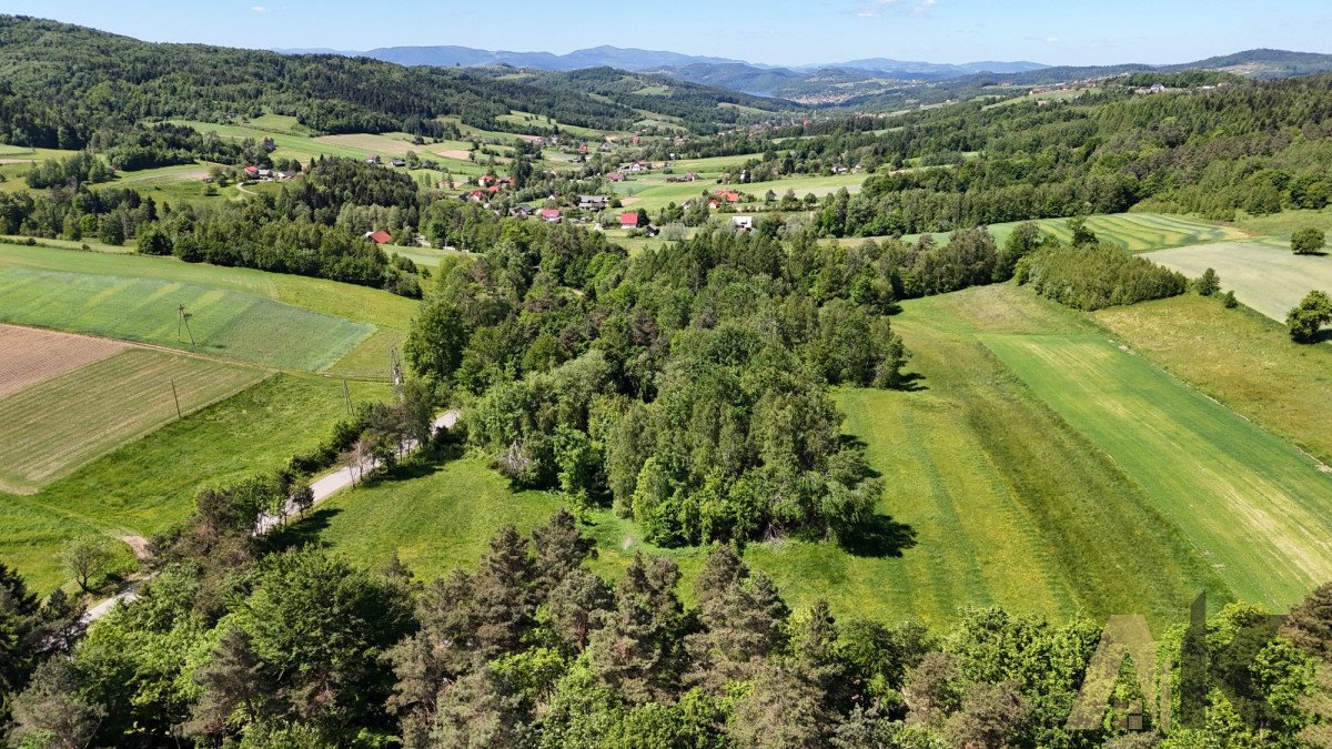 Działka budowlana na sprzedaż Podole-Górowa  4 000m2 Foto 8