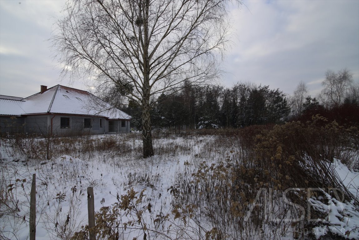 Działka budowlana na sprzedaż Zaborówek, Zielona  1 000m2 Foto 1