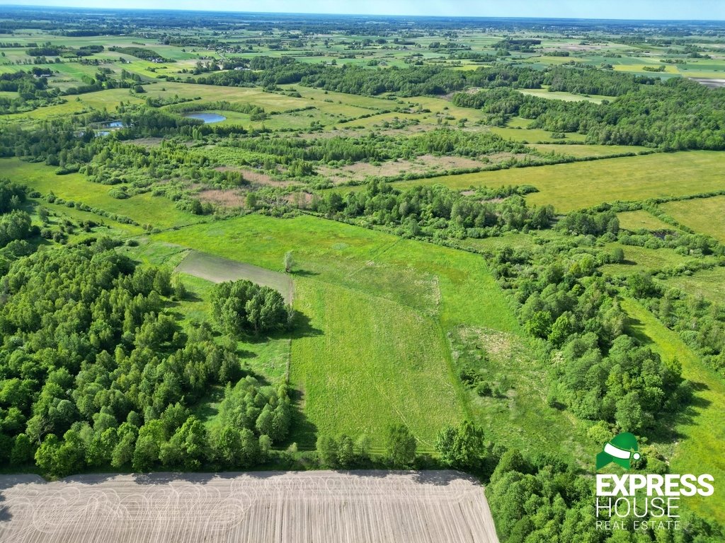 Działka leśna na sprzedaż Świerszczów  12 100m2 Foto 1