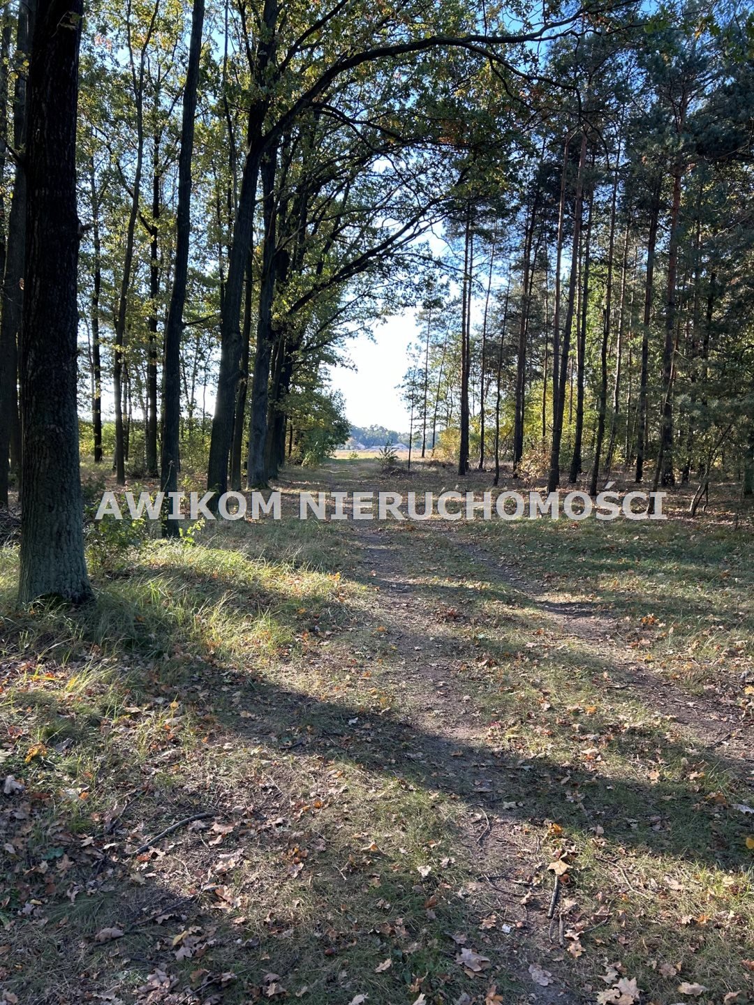 Działka budowlana na sprzedaż Wyszogród, Wilczkowo  3 006m2 Foto 2