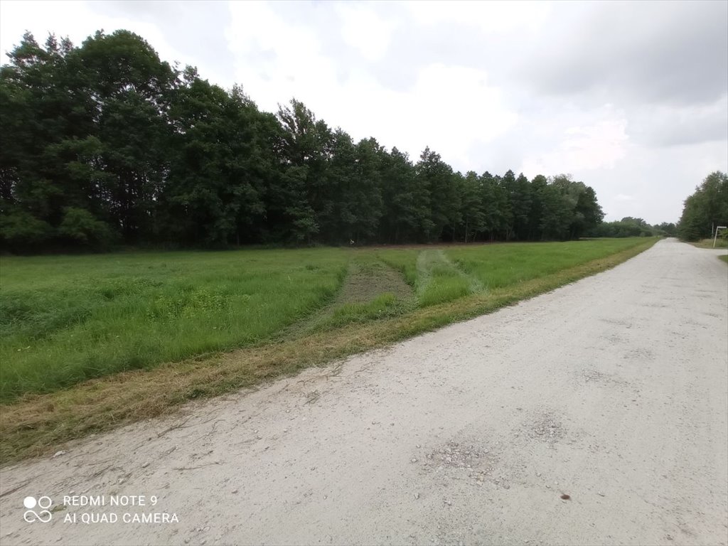 Działka budowlana na sprzedaż Rybno Wielkie, Brzozowa  1 931m2 Foto 12