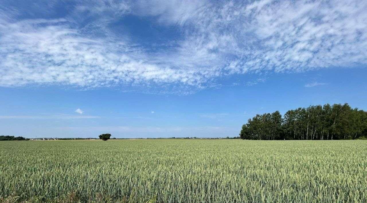 Działka budowlana na sprzedaż Gortatowo, ul. Bajkowa  755m2 Foto 7