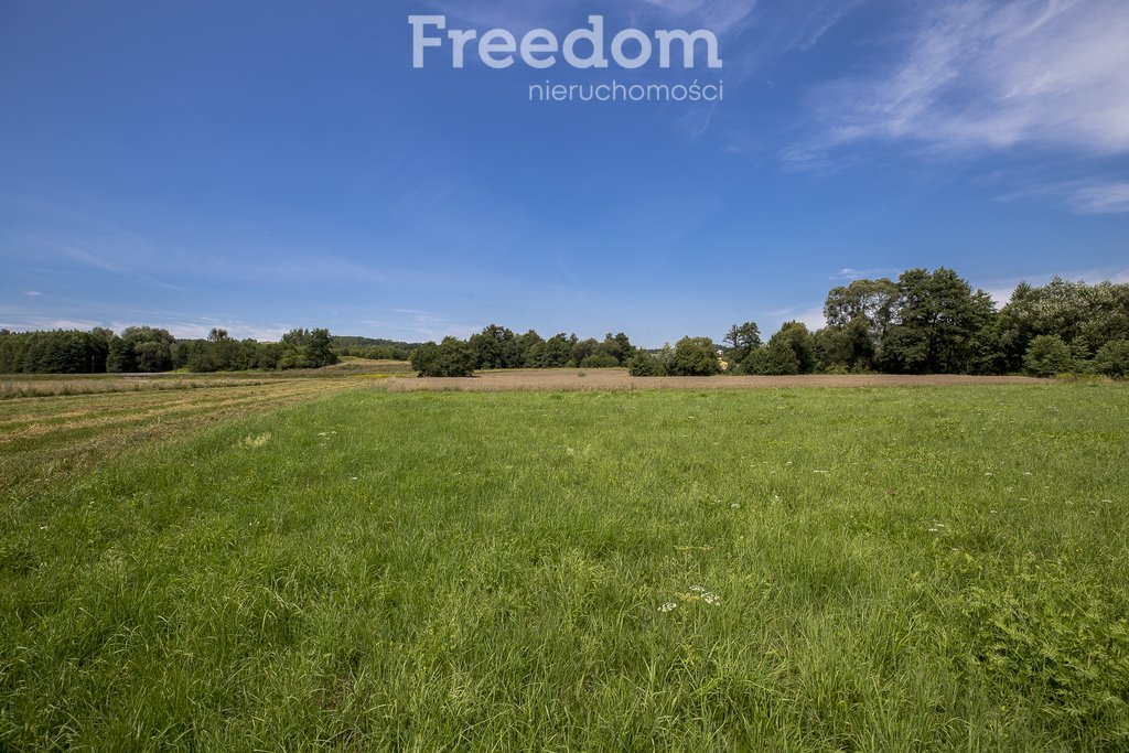 Działka rolna na sprzedaż Cieszyna  9 593m2 Foto 19