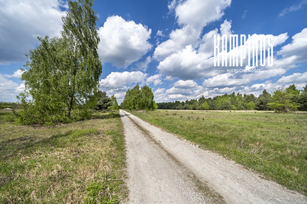 Polecam działkę 3000 m² w Korfowym - idealną pod dom marzeń Korfowe  3 000m2 Foto 1