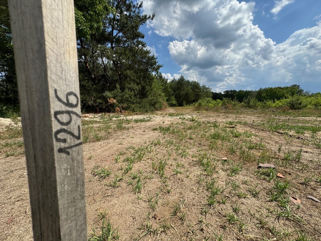 Działka budowlana na sprzedaż Grodzanów  1 000m2 Foto 5