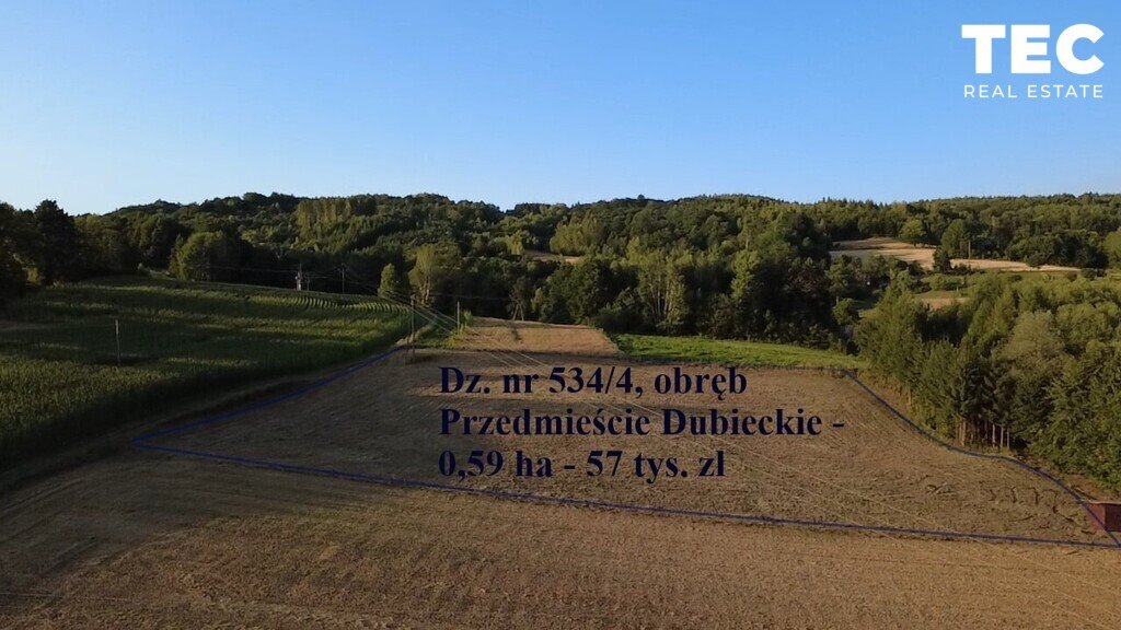 Zapraszam do obejrzenia działki 59 arów w Przedmieściu Dubieckim Przedmieście Dubieckie  5 900m2 Foto 1
