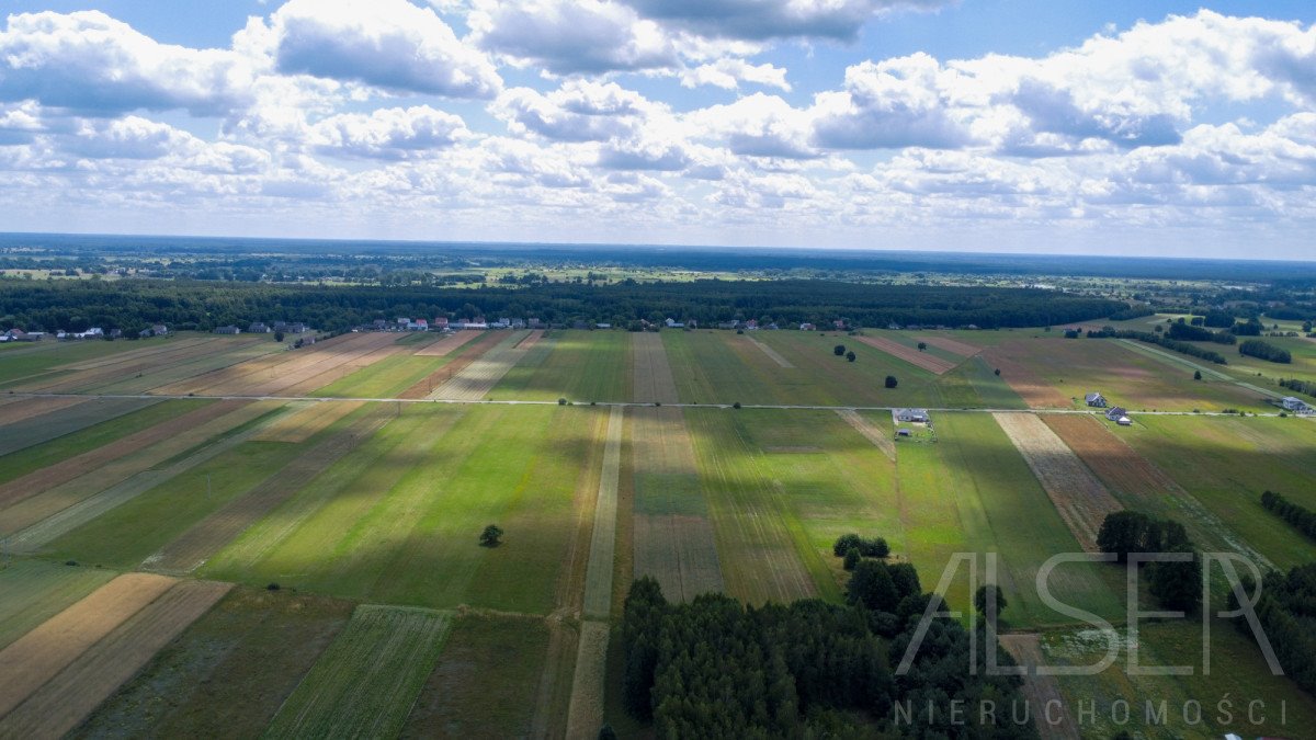 Działka budowlana na sprzedaż Nowy Brańszczyk  2 800m2 Foto 3