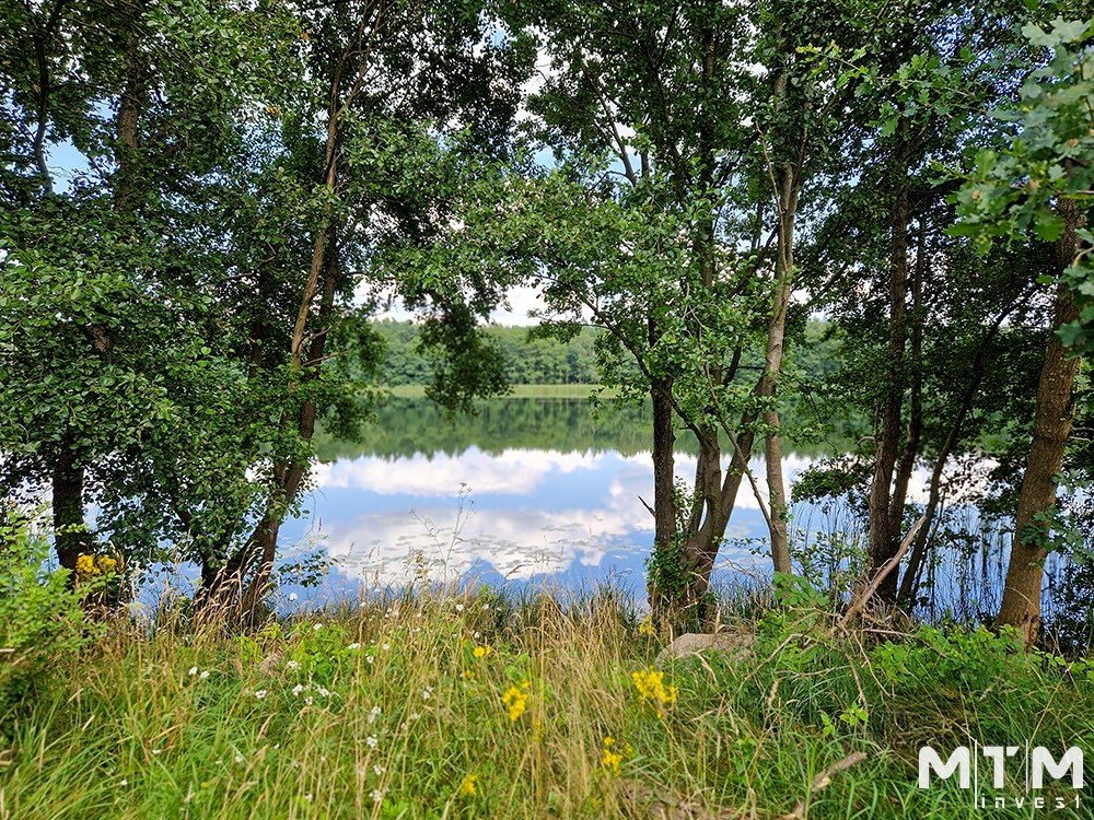 Działka rolna na sprzedaż Dolice  3 003m2 Foto 9