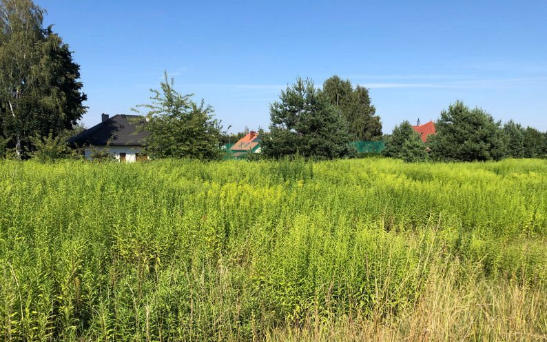 Polecam dużą działkę 2500 m² z mediami pod rezydencję Tarnowskie Góry, GRODZKA  2 500m2 Foto 1