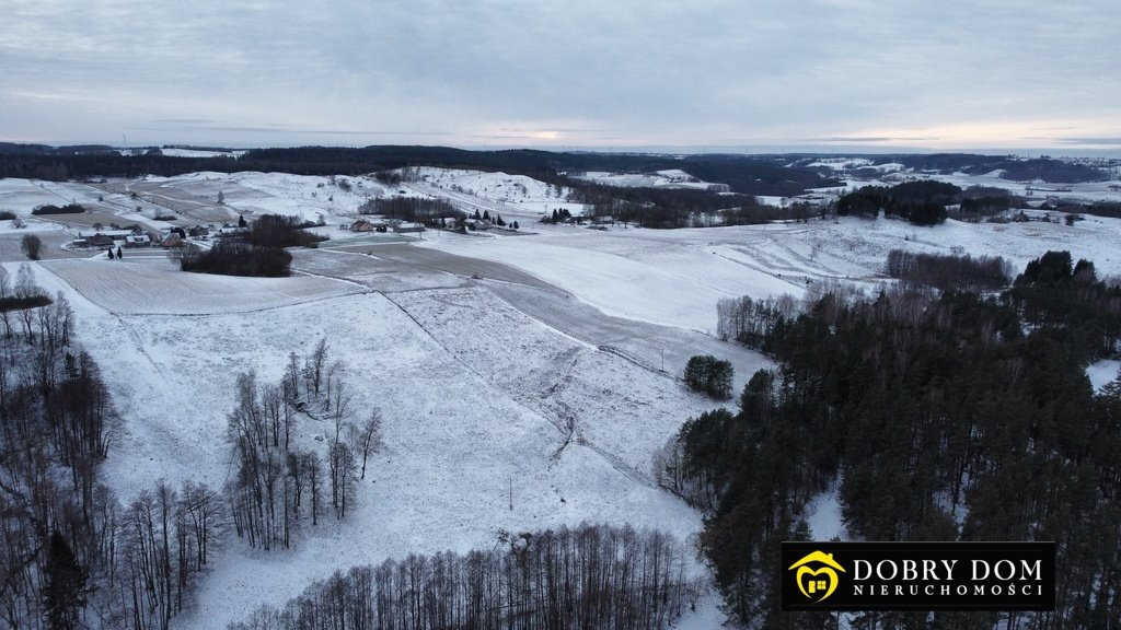 Działka rolna na sprzedaż Udziejek  12 905m2 Foto 5