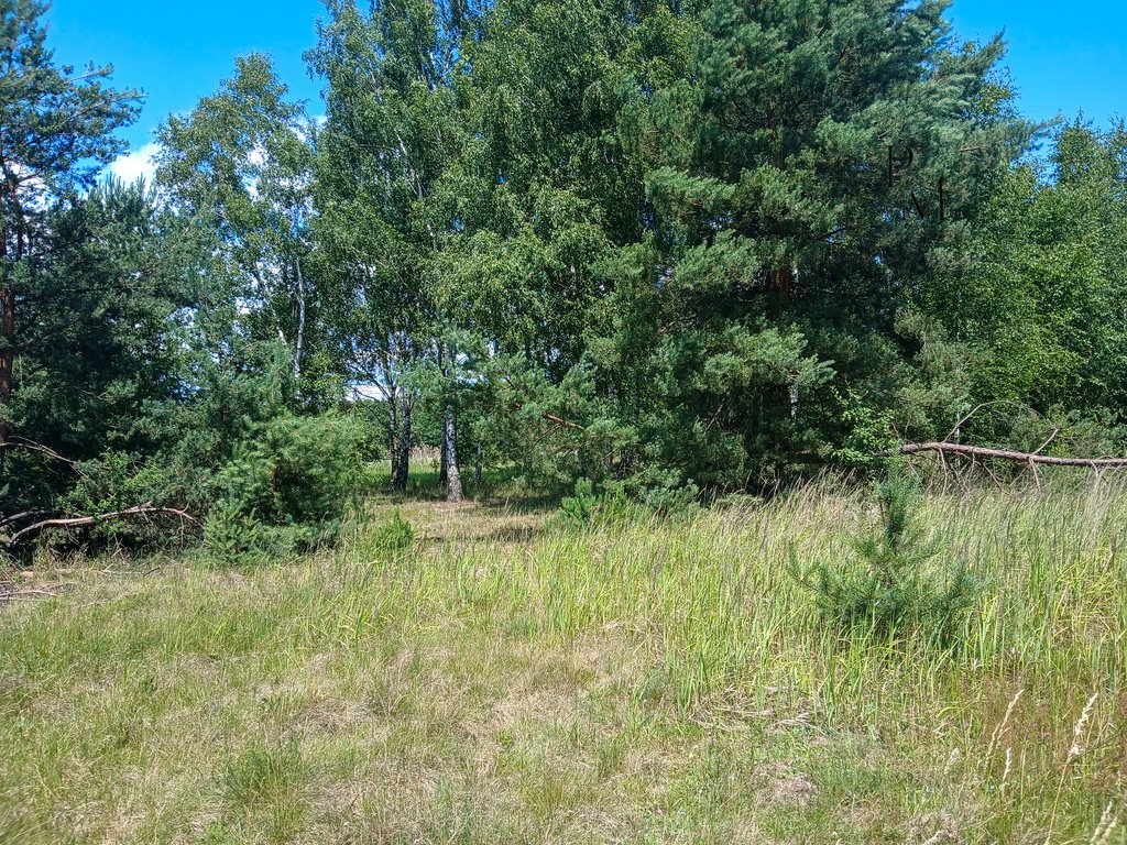 Działka budowlana na sprzedaż Iwno  22 800m2 Foto 4