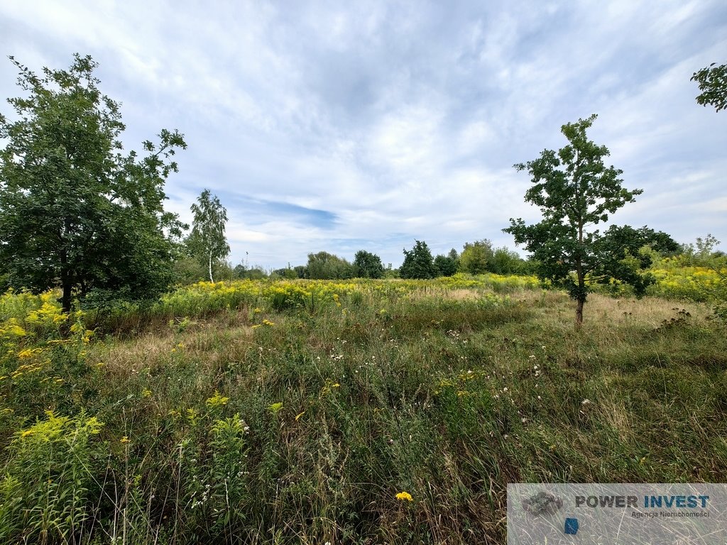 Działka budowlana na sprzedaż Jaktorów-Kolonia  8 770m2 Foto 11