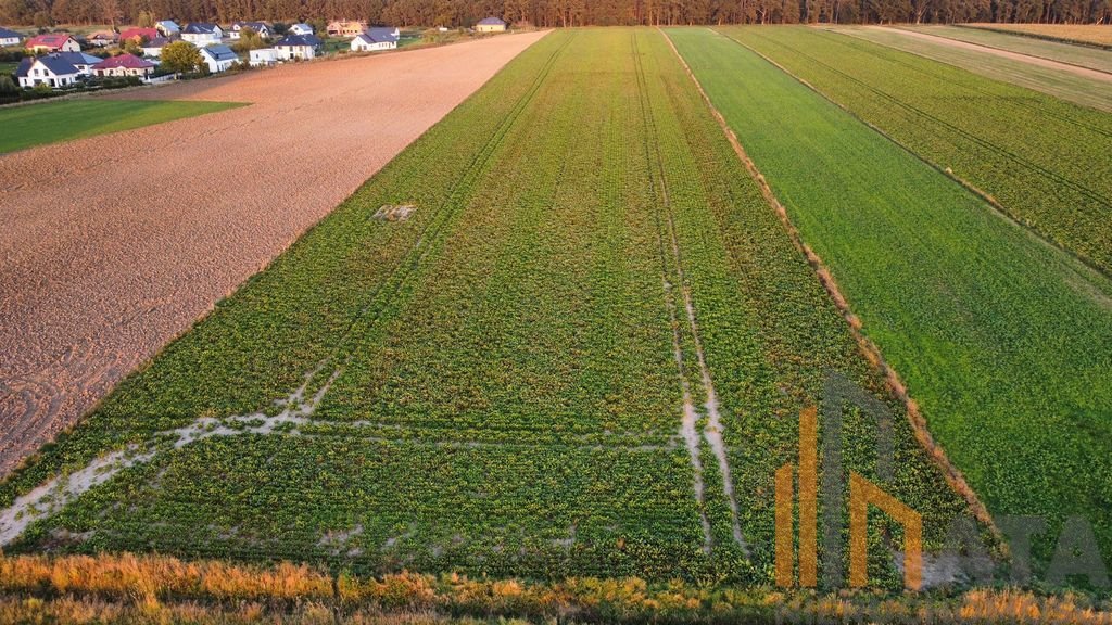 Działka budowlana na sprzedaż Golędzinów  1 072m2 Foto 3