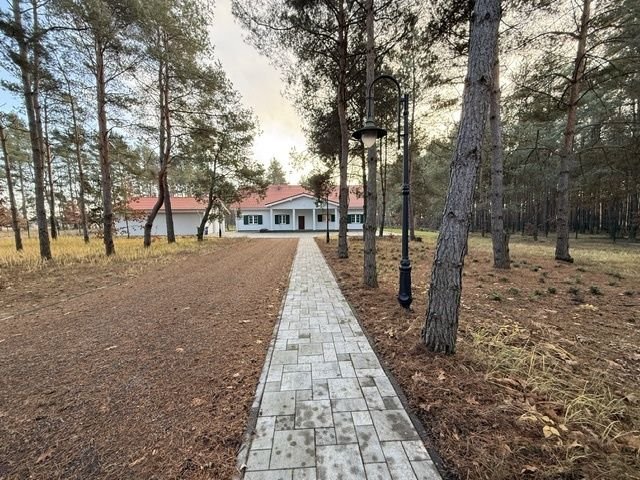 Dom na sprzedaż Golina-Kolonia, Golina -Kolonia  222m2 Foto 2