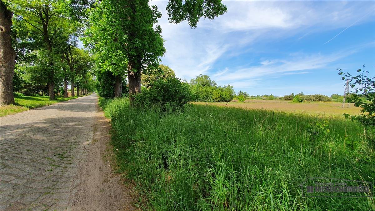 Działka inna na sprzedaż Nieżyn, działka  1 500m2 Foto 11