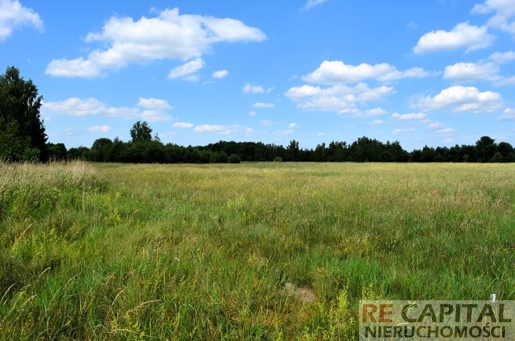 Działka rolna na sprzedaż Wojcieszyn  3 831m2 Foto 1