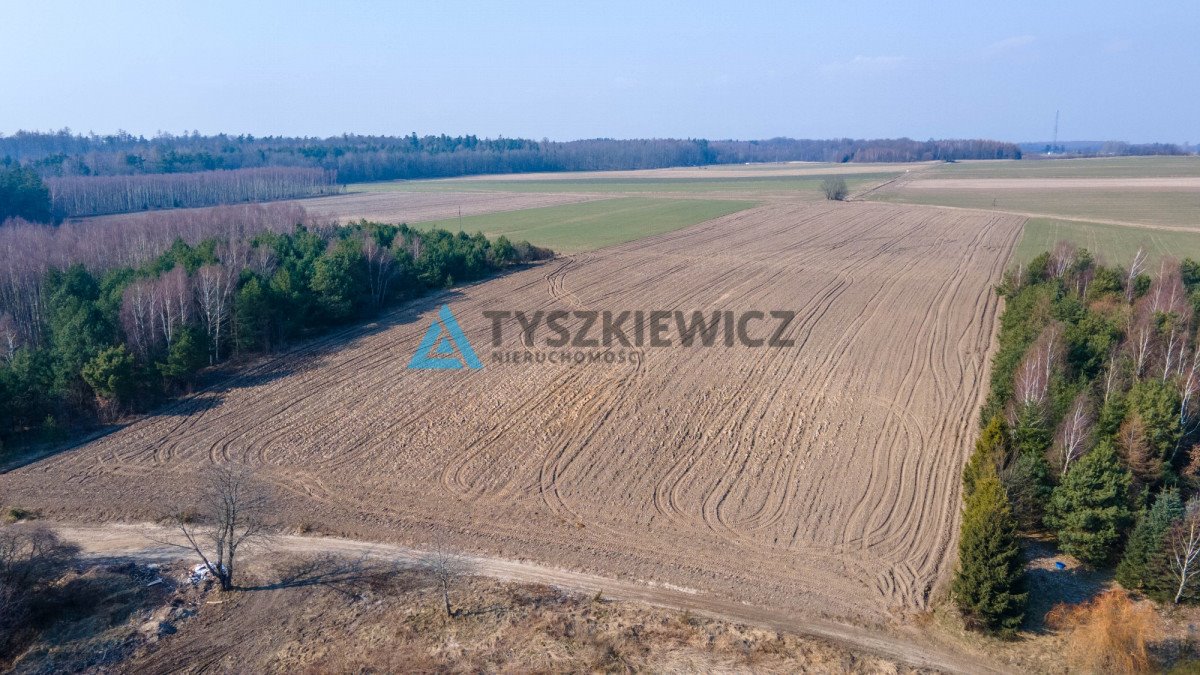 Działka rolna na sprzedaż Krokowa, Polna  10 724m2 Foto 7