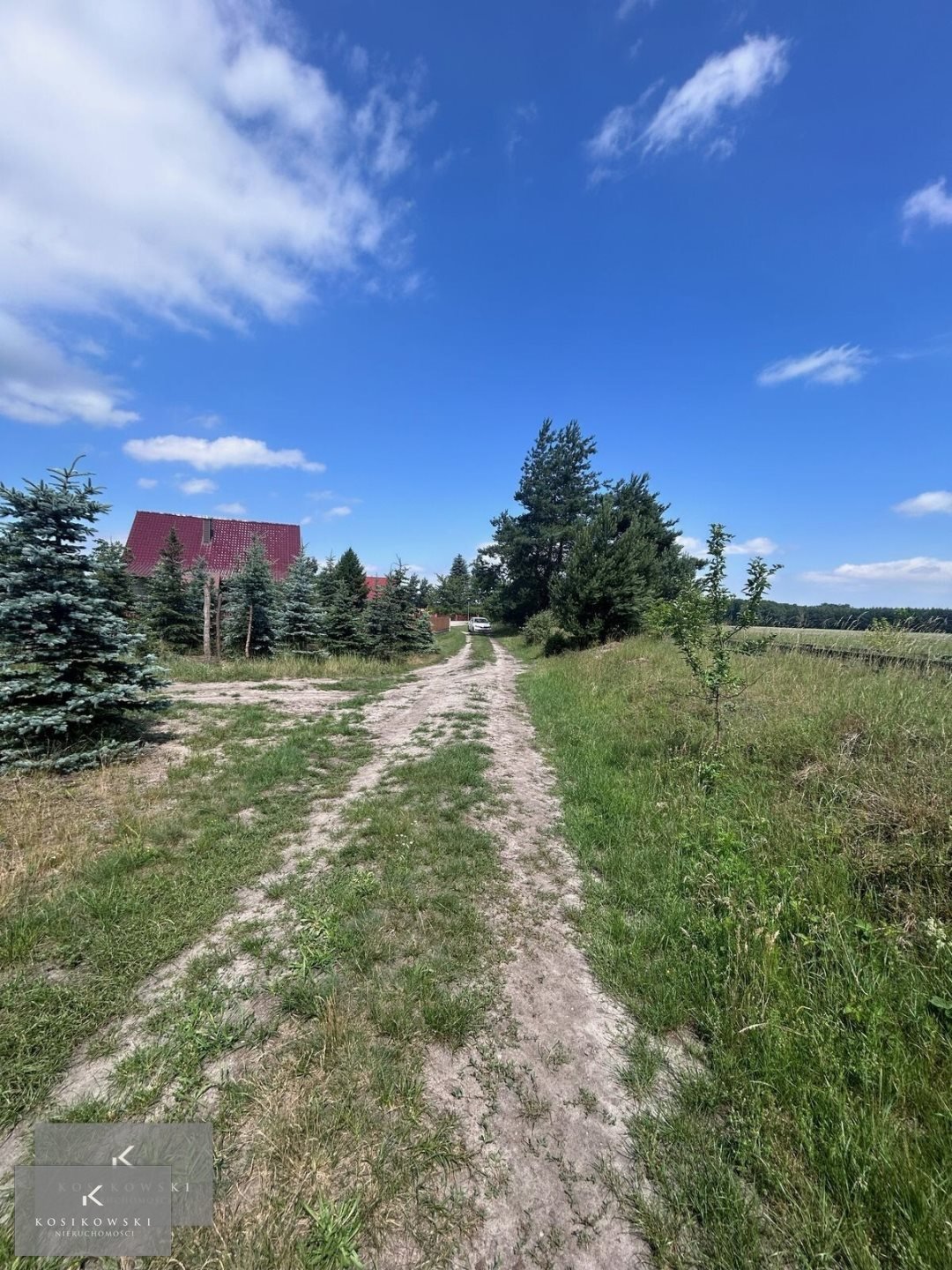 Działka inna na sprzedaż Pokój, Zieleniec  4 900m2 Foto 9