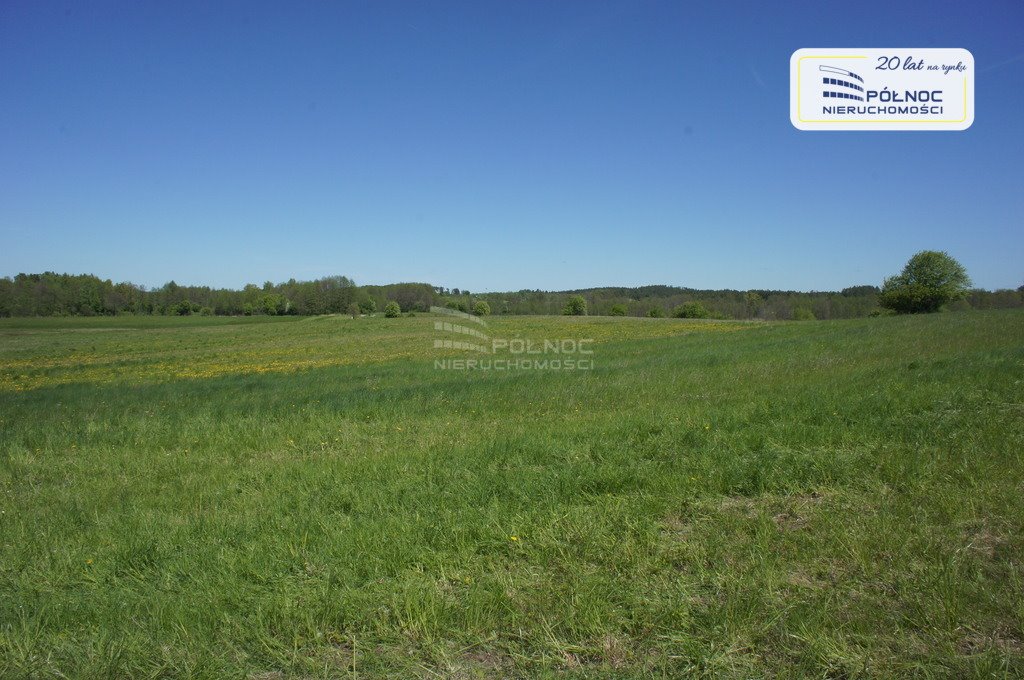 Działka siedliskowa na sprzedaż Strzelniki  97 500m2 Foto 9